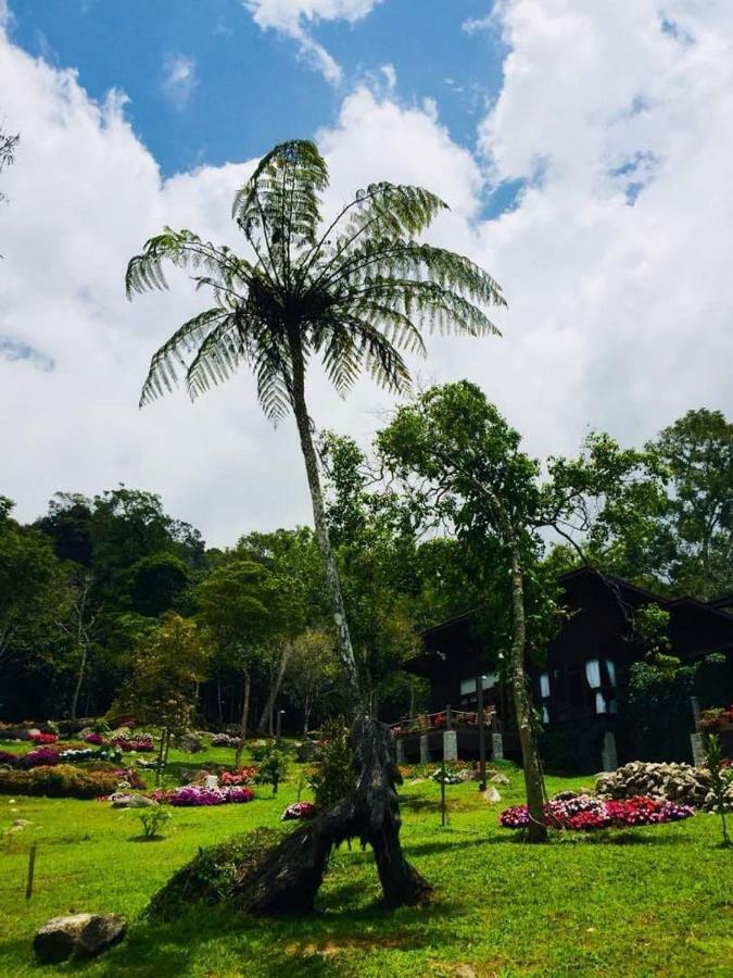 Spring Garden Ξενοδοχείο Kampong Kundassan Εξωτερικό φωτογραφία